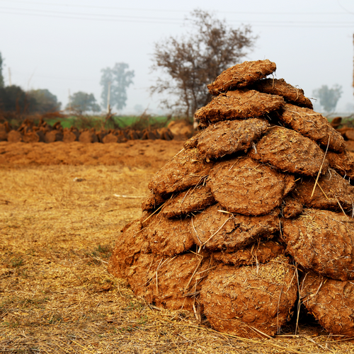 Traditional Bilona Ghee: Unlocking Its Ayurvedic Secrets